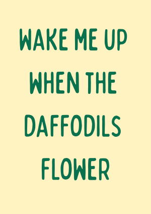 DAFFODILS